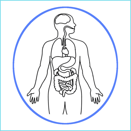 FCG Sistema Digestivo y Respiratorio